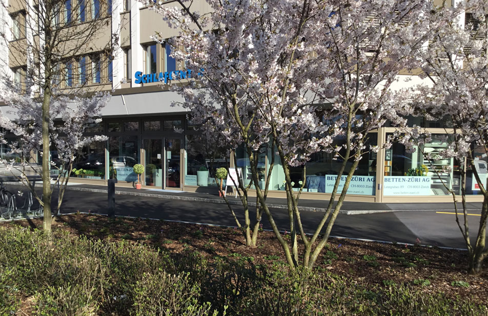 Haupteingang Betten Züri AG