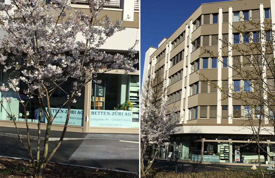 Haupteingang Betten Züri AG